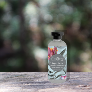 GoOrg Aqua Fresh Shower Gel with Rosemary & Peppermint