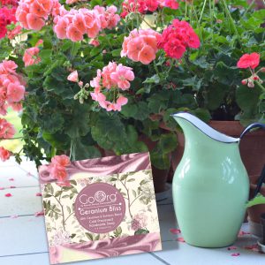 Geranium Bliss Cold Processed Handmade Soap with Geranium and Peppermint Extracts