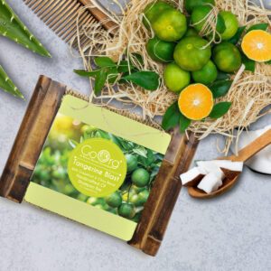 GoOrg Tangerine Blast Cold Processed Shampoo Bar For Dandruff and Dry scalp